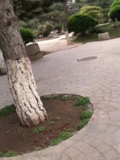 最近网络疯传红人浆果儿,人来人往公园露出口交 最近网络疯传红人浆果儿,人来人往公园露出口交