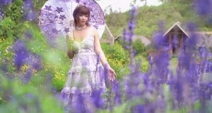 JasmineJ紫色花海的爱 JasmineJ紫色花海的爱