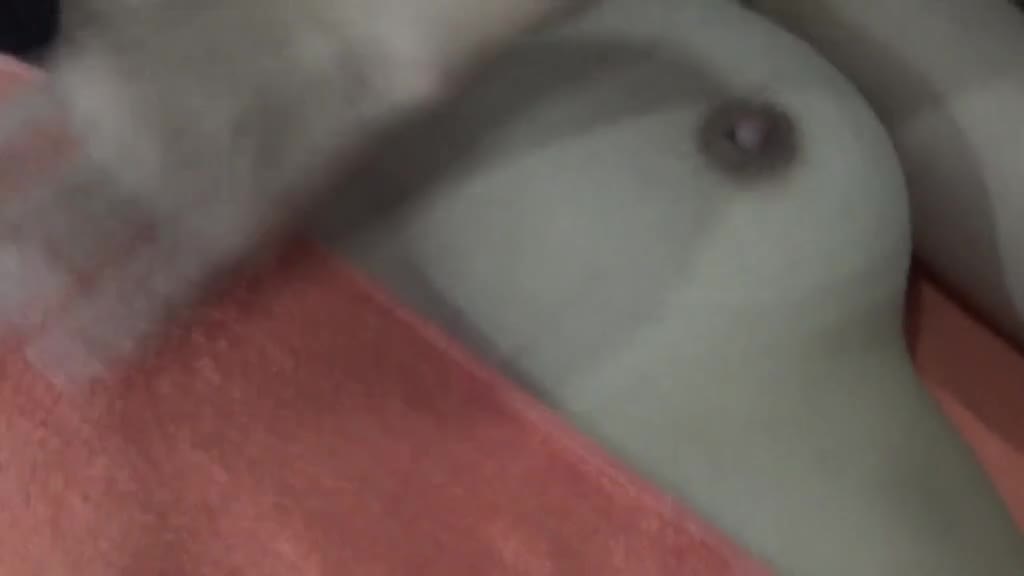护肤美容机构内部培训视频 教学的可真详细 护肤美容机构内部培训视频 教学的可真详细
