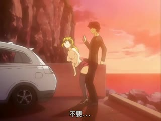 一夫多妻 一夫多妻
