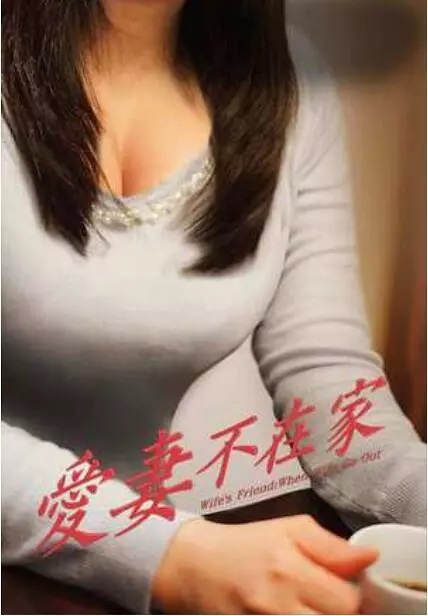 爱妻不在家 爱妻不在家