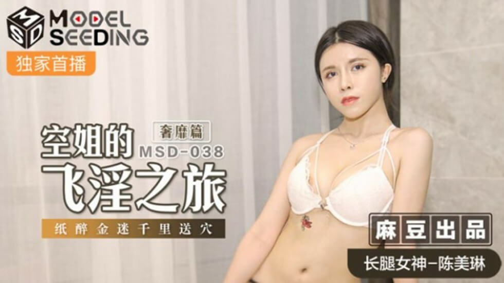 麻豆空姐陈美琳飞淫奢靡篇：纸醉金迷千里送穴 主动献上嫩穴任你玩！