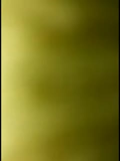 韩国可爱大学生妹子周末在宿舍给男朋友卖力口爆 最后压在身下爆操 呻吟动听 韩国可爱大学生妹子周末在宿舍给男朋友卖力口爆 最后压在身下爆操 呻吟动听