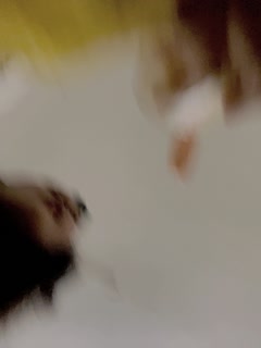 游客19315444_20240107274_20240107257 游客19315444_20240107274_20240107257